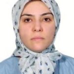 سولماز صاحب جمع