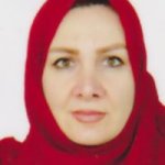 سولماز ایلخچویی