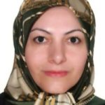 افسانه زورقی