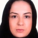 سولماز برینی
