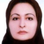 فیروزه امین صالحی