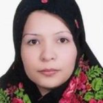 سولماز فهیمی