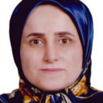 هانی طباطبائی