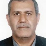 امیر دیبایی