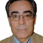 رضا میری