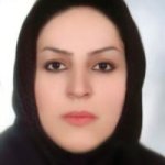 وحیده محبی