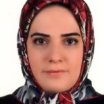 سارا حسینی شمس آبادی