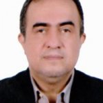 فرزین میربلوک