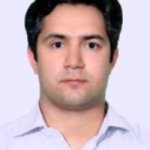 فرزین غرقابی