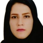مریم شمس الدین احمدی