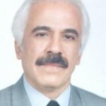 حمید خاتمی