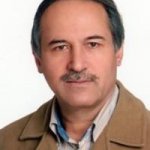 محمد محبی