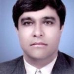 حمید ربیعی فرادنبه