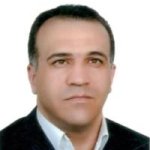 محمدرضا صفوی همامی