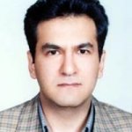 مهرداد امینی