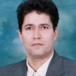 رضا میرزامحمدی