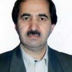 محسن بهزادی محمدی