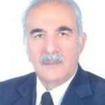 هادی باقری