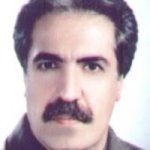 محمدتقی انوش