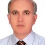 فرخ فرهی