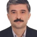 محسن قلعه نوی