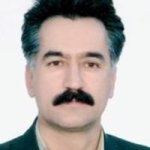 جلیل محبی