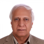 حیدر امینی