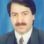 سیدمحمد ربیعی هاشمی