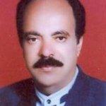 رضا راد