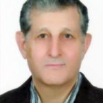 بیژن ملک احمدی