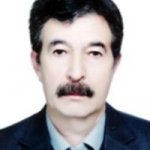 ابراهیم برجیان بروجنی