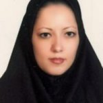 نوید کلاه چی