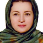 بهجت وهاب زاده معماری