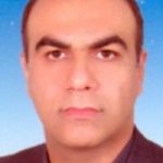 مهرداد میراولیائی