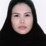 آیلر مقدسی