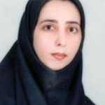 سیده مهرگان موسوی فر
