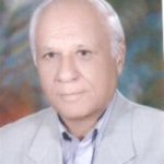 تقی رزاقی