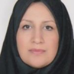 مینا سلطانی فر