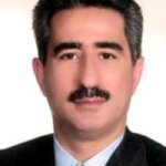 حمیدرضا نیک بین