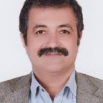 مرتضی امیرکلاهی